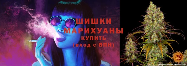 прущая мука Богородицк