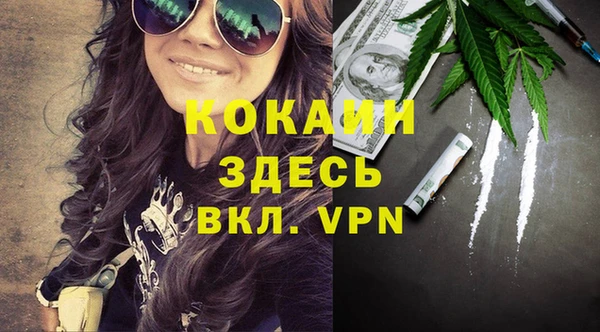 стафф Богданович