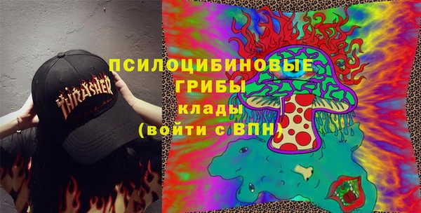 индика Майский