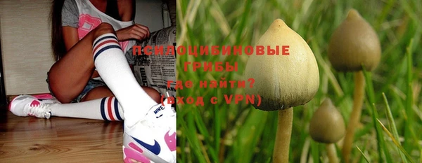 прущая мука Богородицк