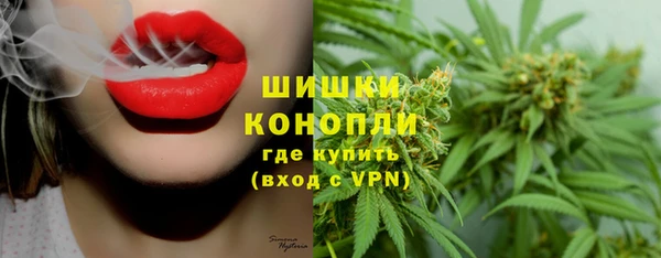стафф Богданович