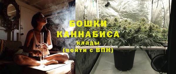 PSILOCYBIN Беломорск