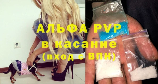 стафф Богданович