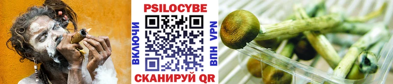 Галлюциногенные грибы Magic Shrooms  blacksprut маркетплейс  Белый 